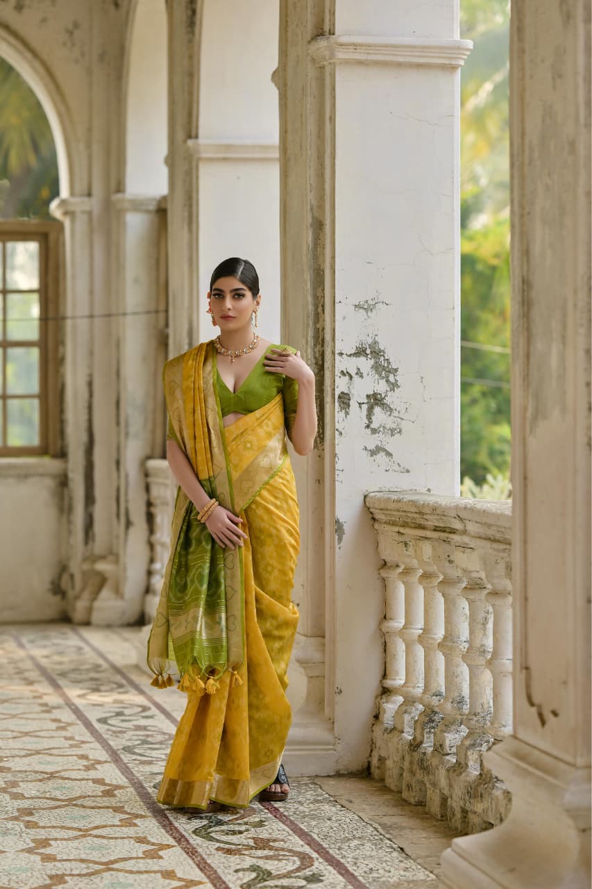 Soft Desi Raw Silk saree