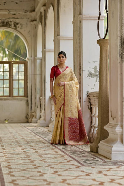 Soft Desi Raw Silk saree