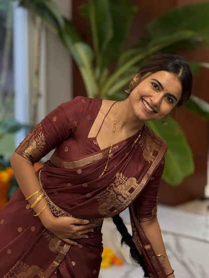 Pure Muslin Silk Saree